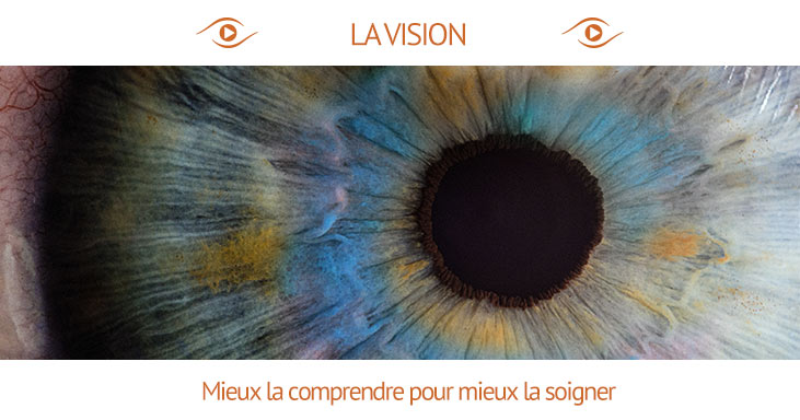 Le fonctionnement de la vision n'est aujourd'hui plus un mystère