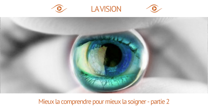 Le fonctionnement de la vision n'est aujourd'hui plus un mystère